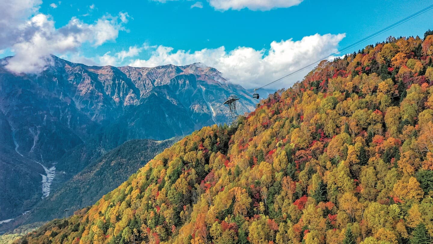 Touch the Nature of the Northern Alps